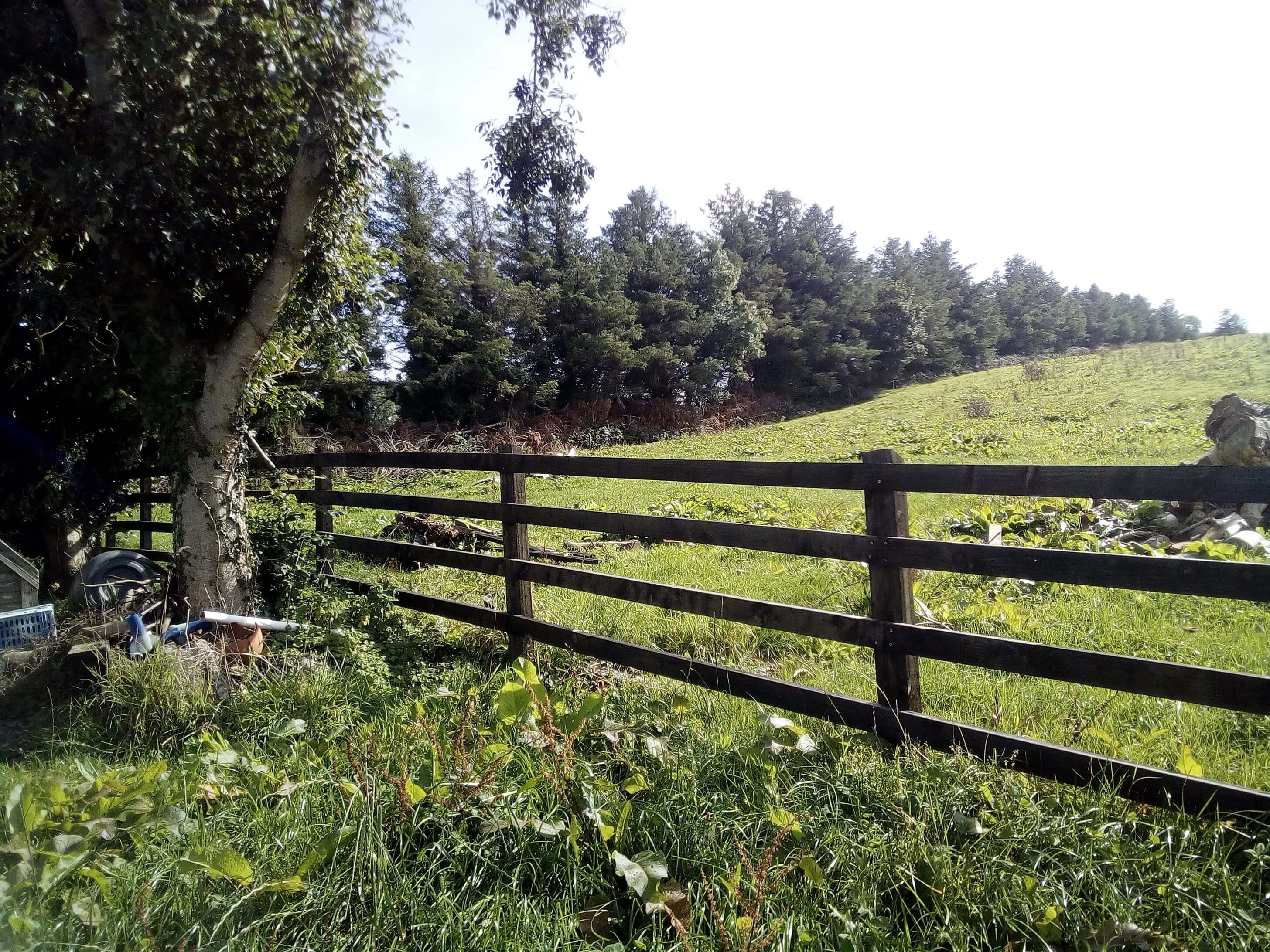 Fence & Gate Southwest