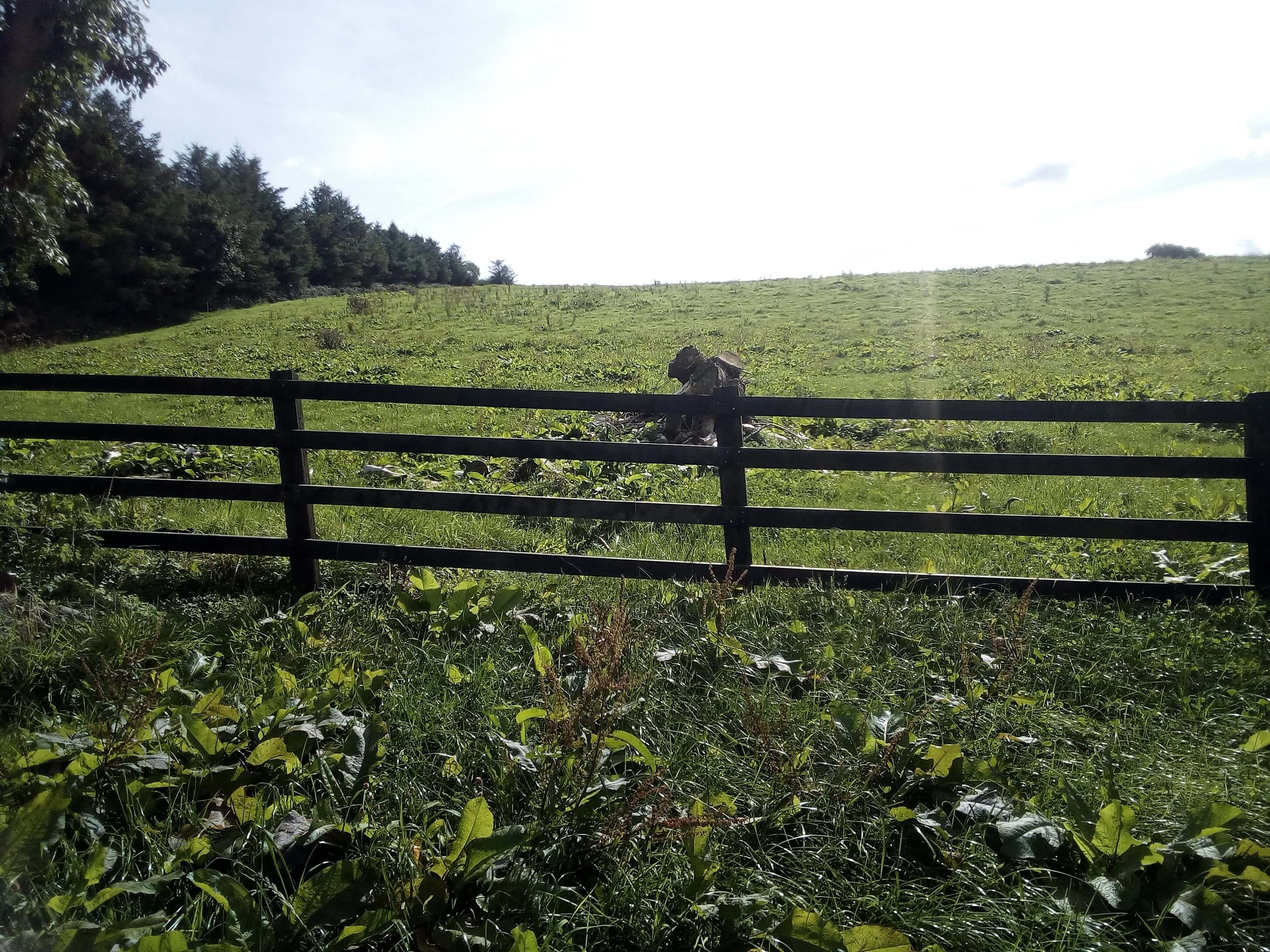 Fence & Gate Southwest